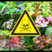 The Most Dangerous Plant Species in the World