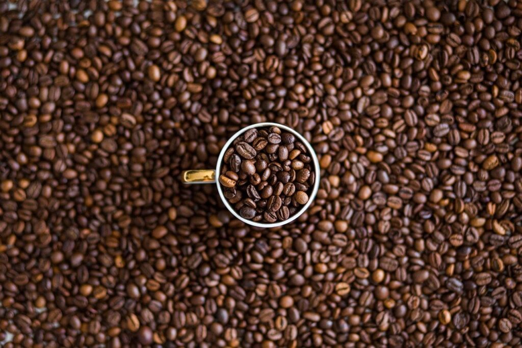 coffee seeds